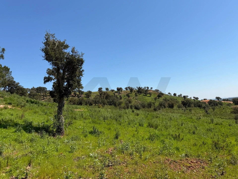 Terreno para Venda em São Domingos e Vale de Água Foto 9