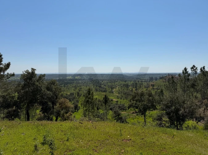 Terreno para Venda em São Domingos e Vale de Água Foto 5