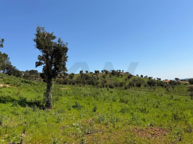 Terreno para Venda em São Domingos e Vale de Água Foto 9