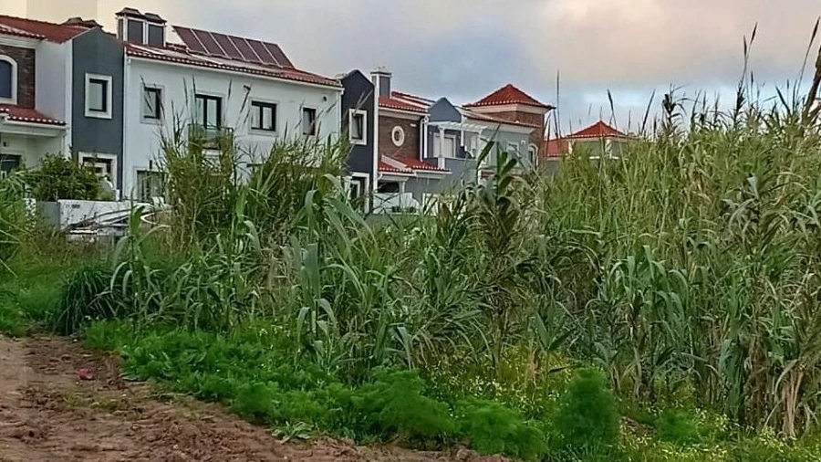 Terreno para Venda em Ponte do Rol