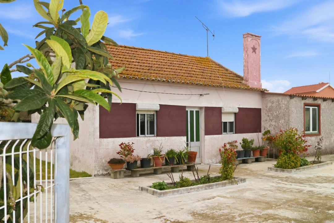 Moradia T3 para Venda em Gambia-Pontes-Alto da Guerra Foto 4