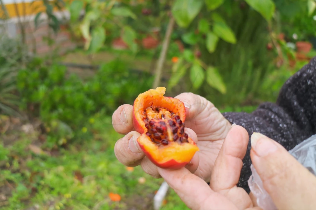 Moradia T3 para Venda em Gambia-Pontes-Alto da Guerra Foto 8