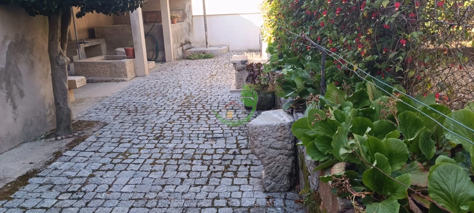 Moradia T4 para Venda em Palmeira Foto 13