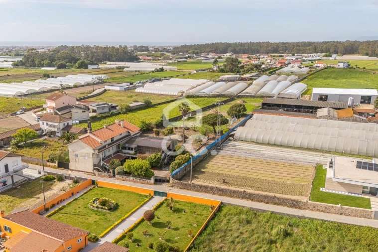 Moradia T8 para Venda em Póvoa de Varzim, Beiriz e Argivai Foto 31