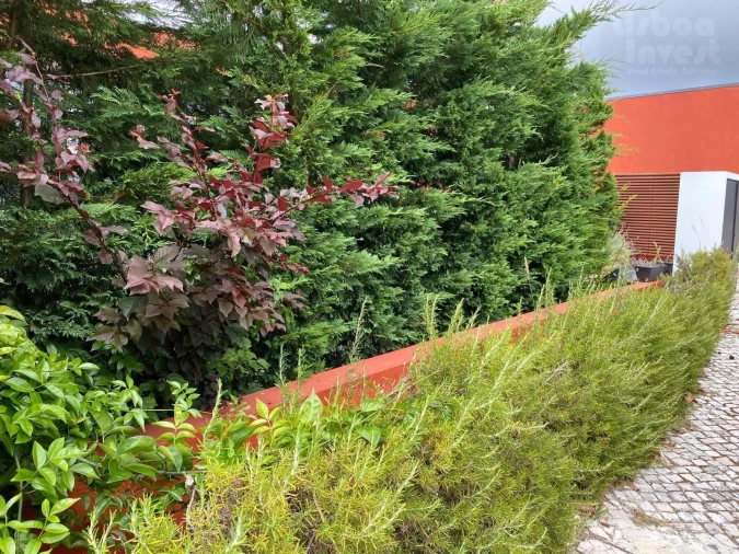 Moradia T2 para Venda em Vau Foto 19