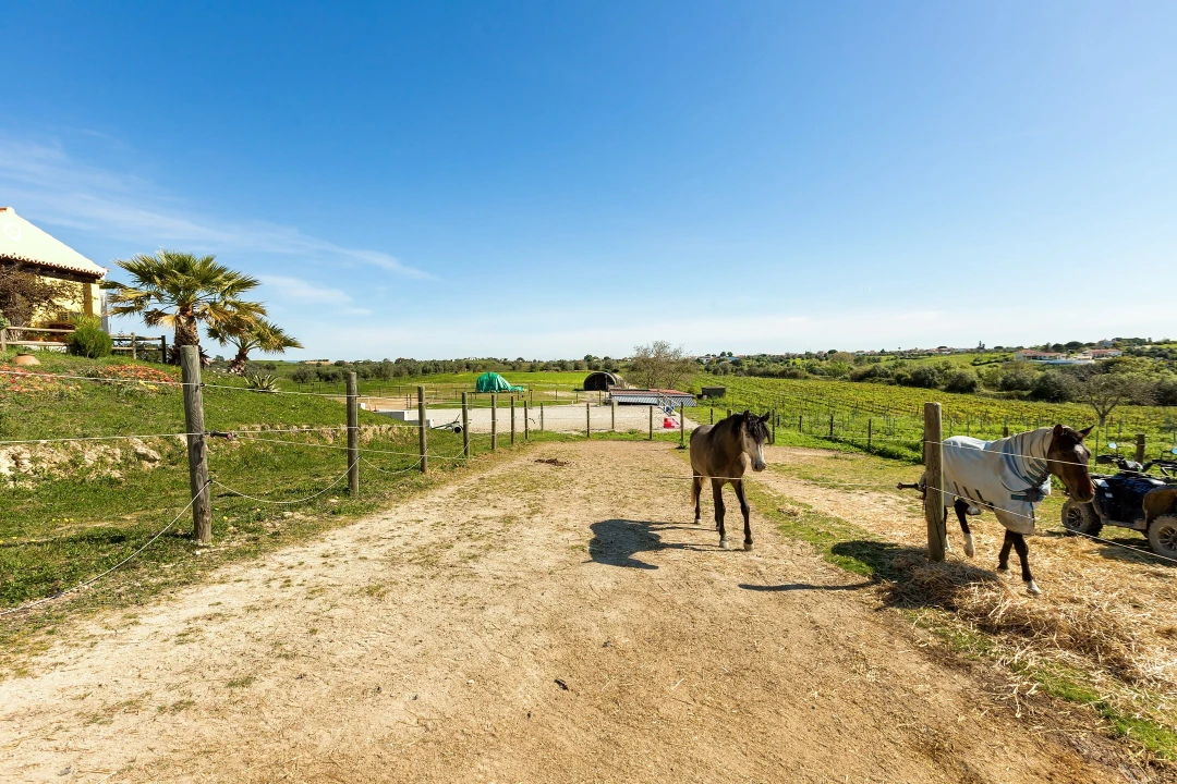 Moradia T4 para Venda em Romeira e Várzea Foto 32