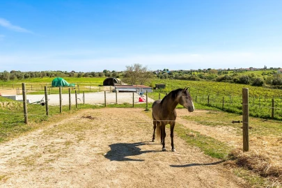Moradia T4 para Venda em Romeira e Várzea