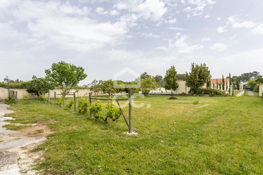 Quinta T5 para Venda em Quinta do Anjo Foto 60