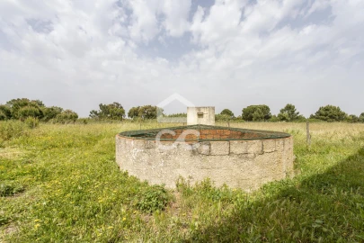 Quinta T5 para Venda em Quinta do Anjo