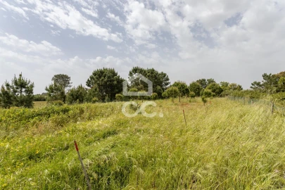 Quinta T5 para Venda em Quinta do Anjo