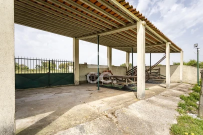 Quinta T5 para Venda em Quinta do Anjo