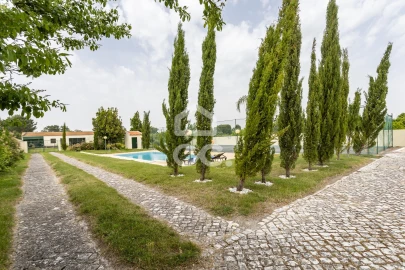 Quinta T5 para Venda em Quinta do Anjo