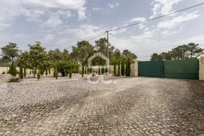 Quinta T5 para Venda em Quinta do Anjo