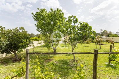 Quinta T5 para Venda em Quinta do Anjo