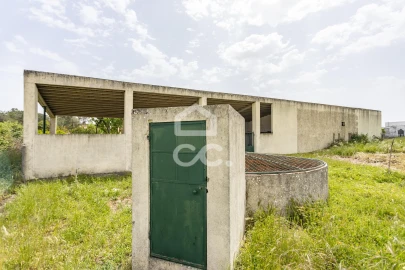 Quinta T5 para Venda em Quinta do Anjo