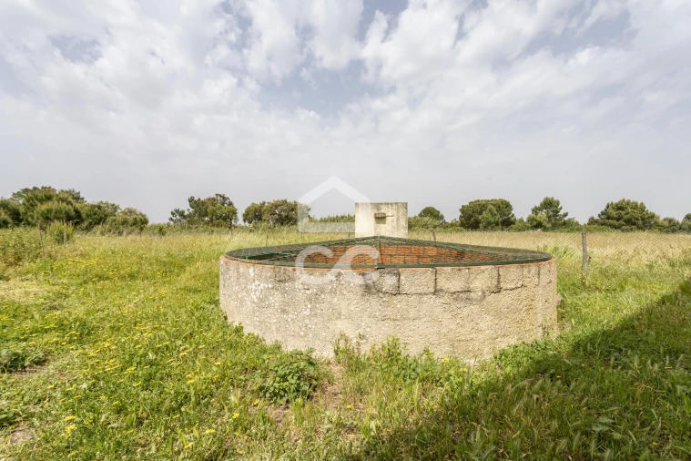 Quinta T5 para Venda em Quinta do Anjo Foto 65