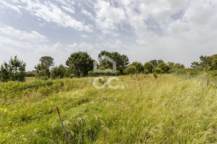 Quinta T5 para Venda em Quinta do Anjo Foto 68