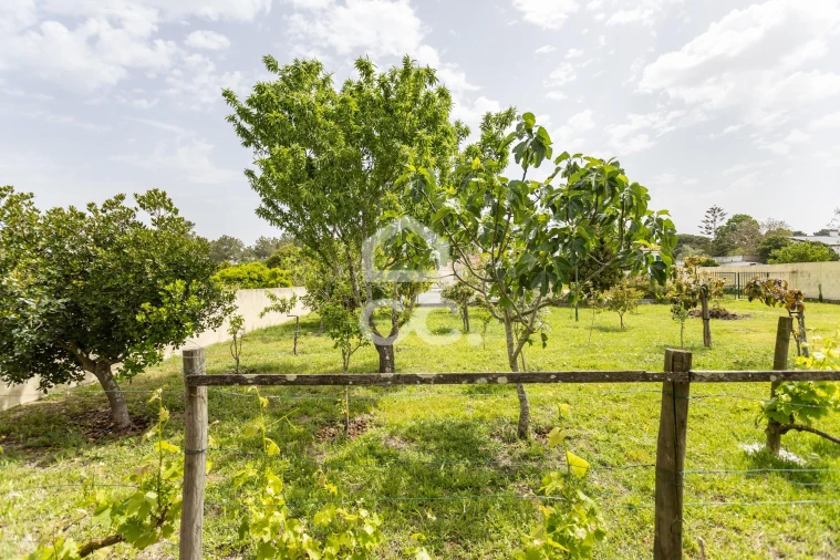 Quinta T5 para Venda em Quinta do Anjo Foto 69