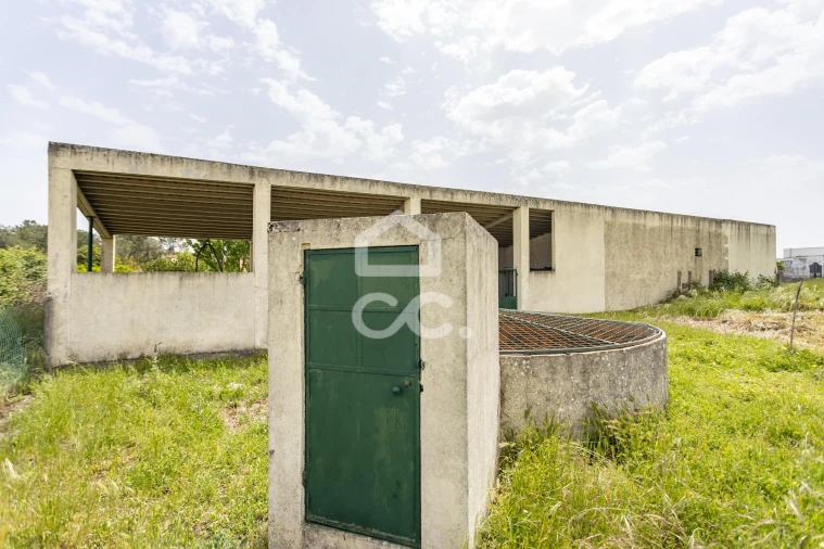 Quinta T5 para Venda em Quinta do Anjo Foto 66