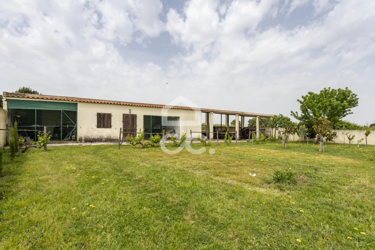 Quinta T5 para Venda em Quinta do Anjo Foto 62