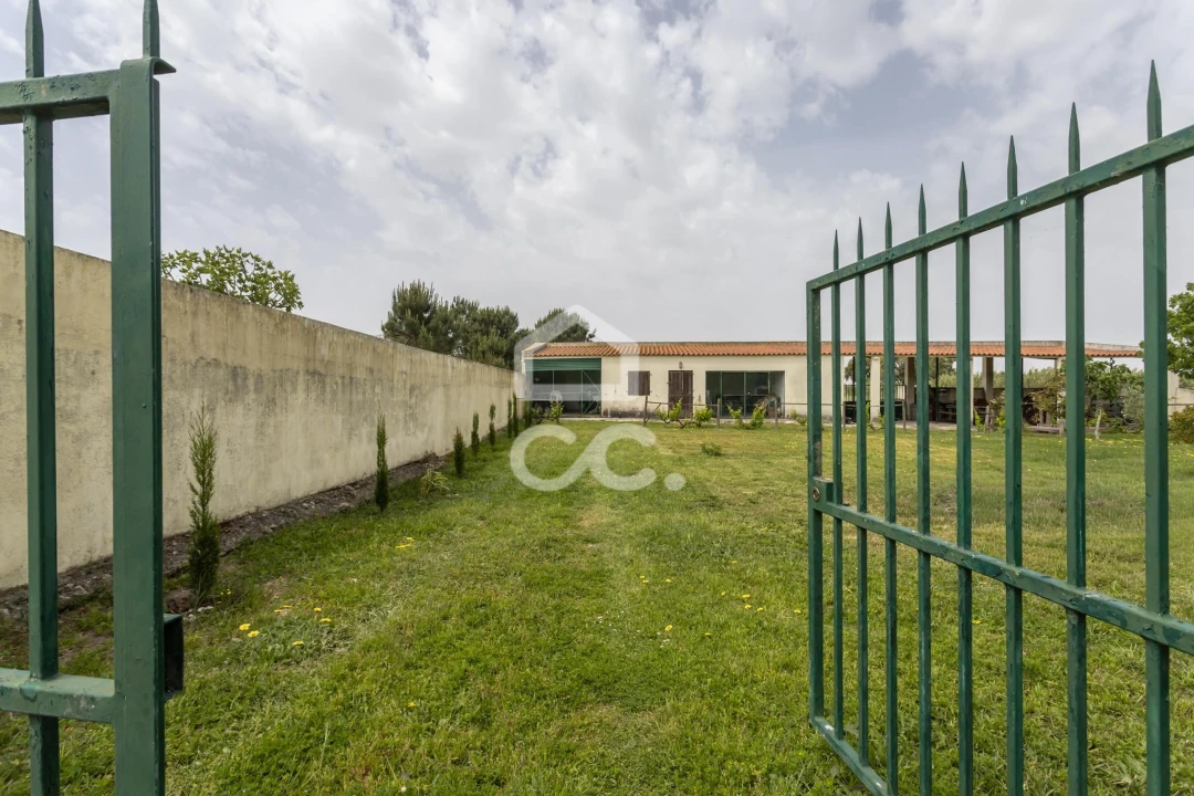 Quinta T5 para Venda em Quinta do Anjo Foto 61