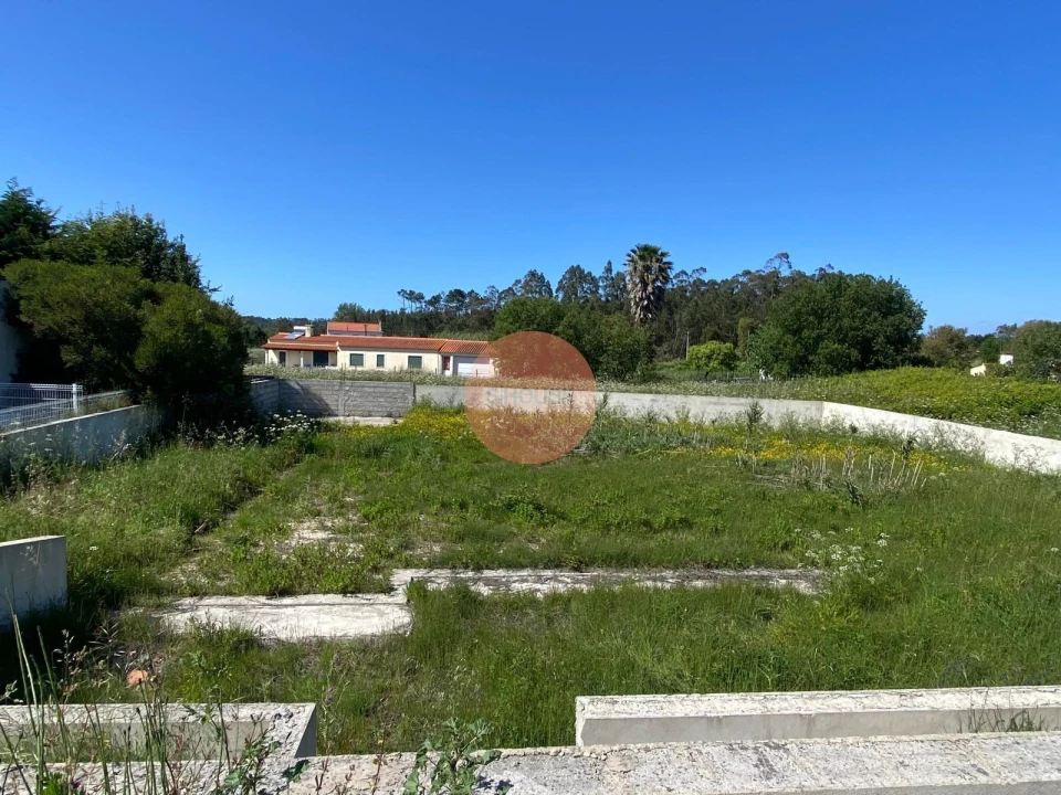 Terreno para Venda em Tornada e Salir do Porto Foto 24