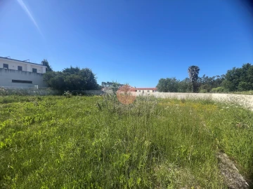 Terreno para Venda em Tornada e Salir do Porto