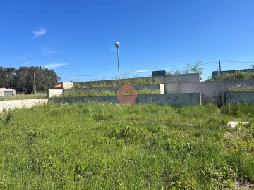 Terreno para Venda em Tornada e Salir do Porto