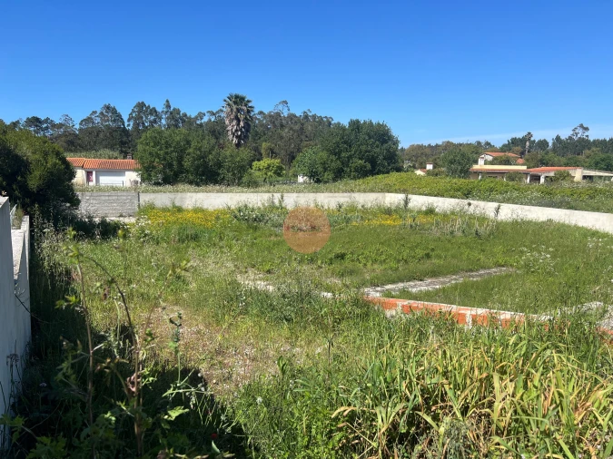 Terreno para Venda em Tornada e Salir do Porto Foto 13