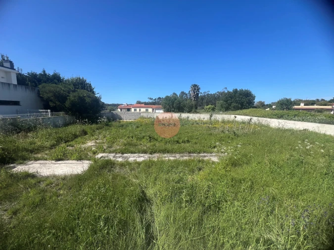 Terreno para Venda em Tornada e Salir do Porto Foto 20