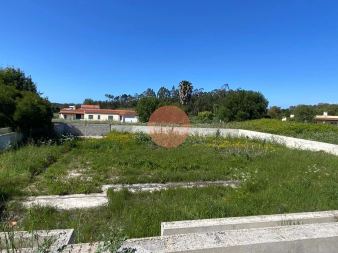 Terreno para Venda em Tornada e Salir do Porto Foto 23