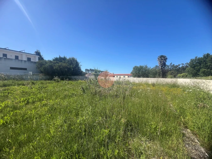 Terreno para Venda em Tornada e Salir do Porto Foto 19