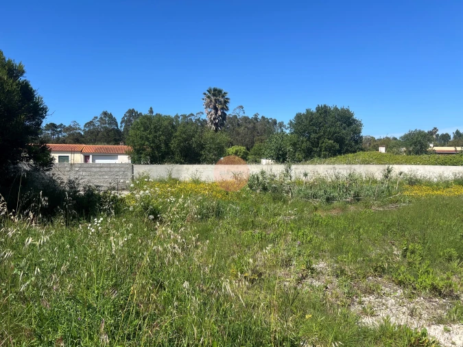 Terreno para Venda em Tornada e Salir do Porto Foto 14
