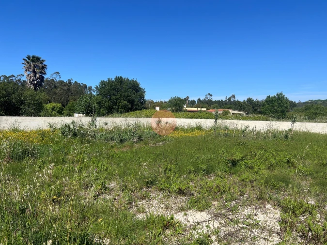 Terreno para Venda em Tornada e Salir do Porto Foto 16