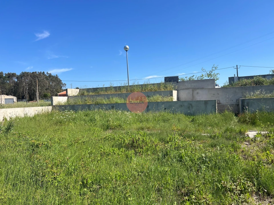 Terreno para Venda em Tornada e Salir do Porto Foto 17