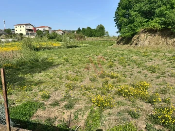 Terreno Agricola ou Rústico para Venda em Margaride, Várzea, Lagares, Varziela, Moure