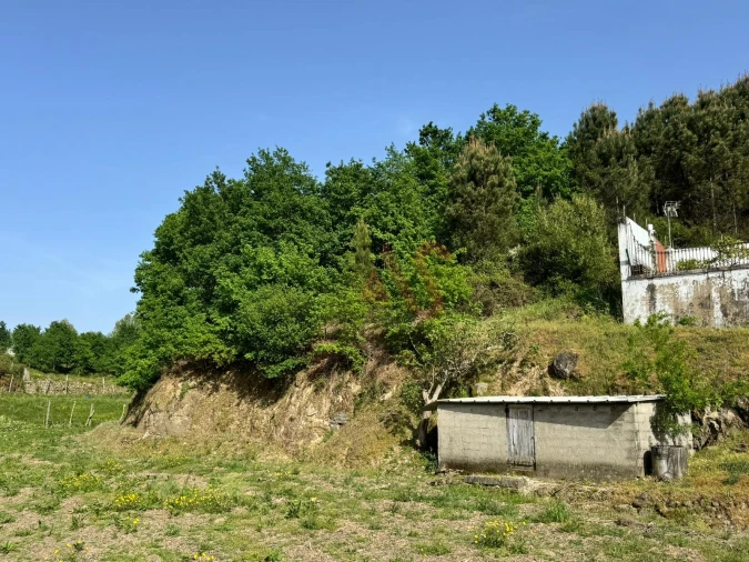 Terreno Agricola ou Rústico para Venda em Margaride, Várzea, Lagares, Varziela, Moure Foto 4