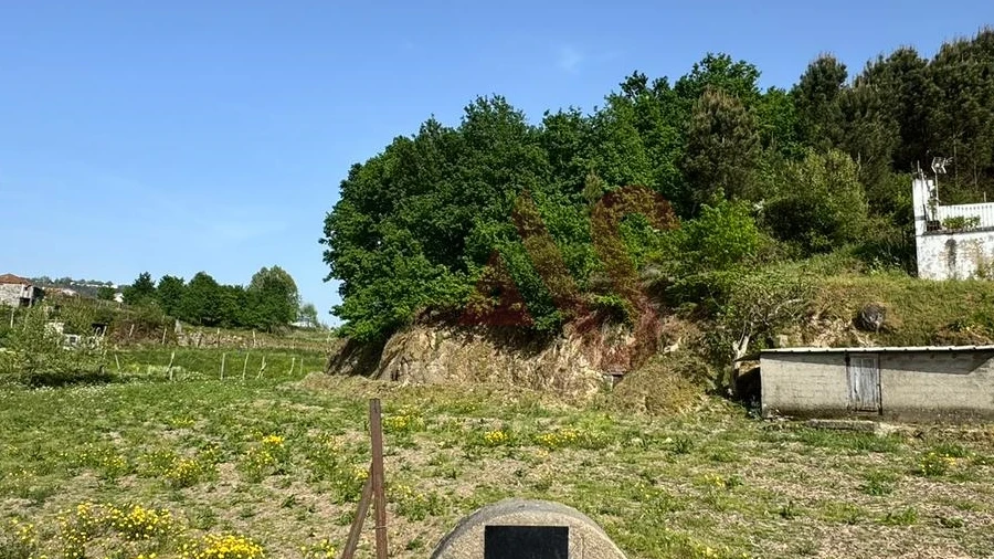 Terreno Agricola ou Rústico para Venda em Margaride, Várzea, Lagares, Varziela, Moure