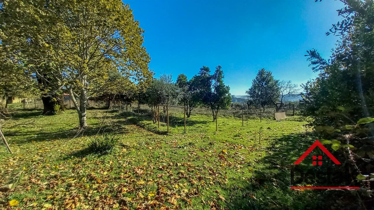 Quinta T6 para Venda em Povolide Foto 19