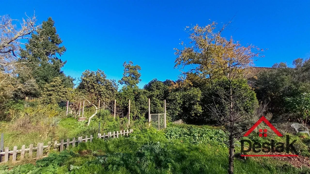 Quinta T6 para Venda em Povolide Foto 14