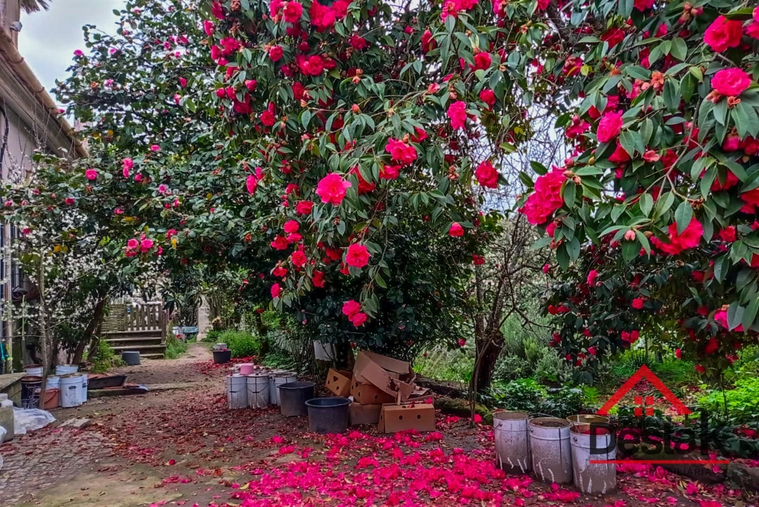Quinta T6 para Venda em Povolide Foto 47