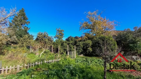 Quinta T6 para Venda em Povolide