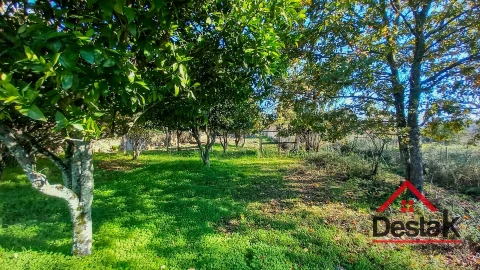 Quinta T6 para Venda em Povolide