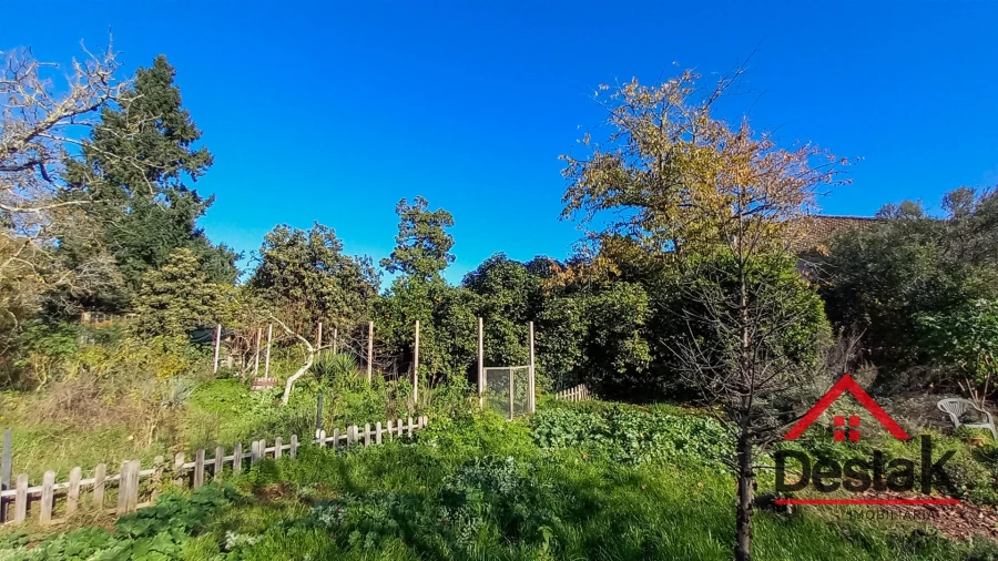 Quinta T6 para Venda em Povolide Foto 14