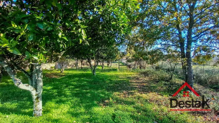 Quinta T6 para Venda em Povolide Foto 17