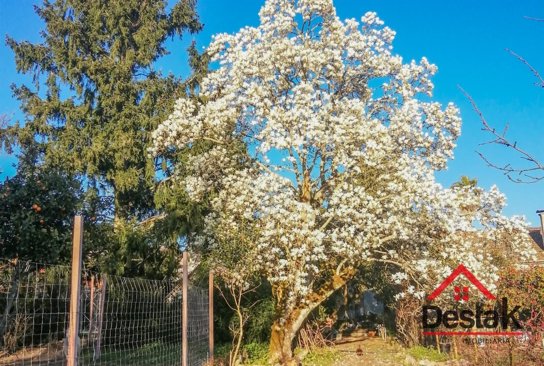 Quinta T6 para Venda em Povolide Foto 49