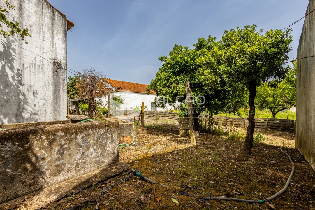 Moradia T3 para Venda em Achete, Azoia de Baixo e Póvoa de Santarém Foto 41