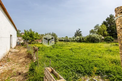 Moradia T3 para Venda em Achete, Azoia de Baixo e Póvoa de Santarém