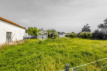Moradia T3 para Venda em Achete, Azoia de Baixo e Póvoa de Santarém