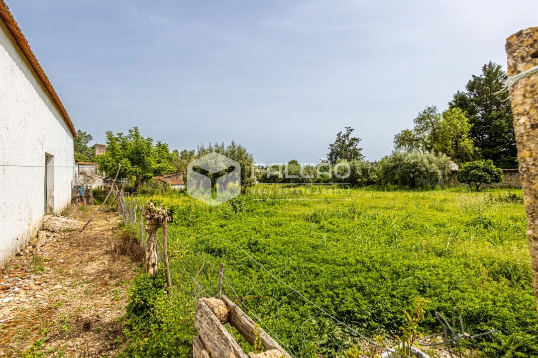 Moradia T3 para Venda em Achete, Azoia de Baixo e Póvoa de Santarém Foto 47